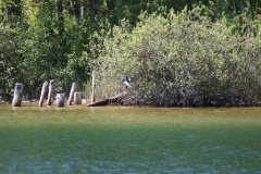 Müritz-Nationalpark und Waren