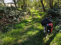 Vom Kyffhäuser über den Unstrut-Radweg nach Naumburg