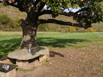 von Artern zur Arche Nebra (33 km), Ausflug zum Mittelberg