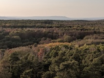 von Artern zur Arche Nebra (33 km), Ausflug zum Mittelberg