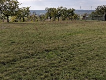 von Artern zur Arche Nebra (33 km), Ausflug zum Mittelberg