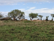 Etappe 1: von Artern nach Wangen