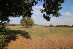 Radtouren und              Fernradwege