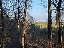 Kesselmoor, Teufelssee und Ravensberge - Wanderung im Potsdamer Erholungswald