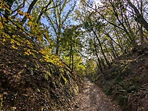 WANDERKALENDER 2026: Viel Geschichte, viel Natur und ein herrlicher Blick am Reitweiner Sporn