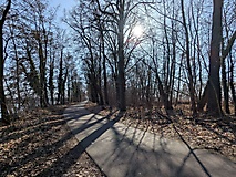 Zwischen Ostsee, Teichlandschaft und Industriekulisse - von Peitz nach Cottbus