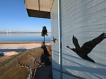 Zwischen Ostsee, Teichlandschaft und Industriekulisse - von Peitz nach Cottbus