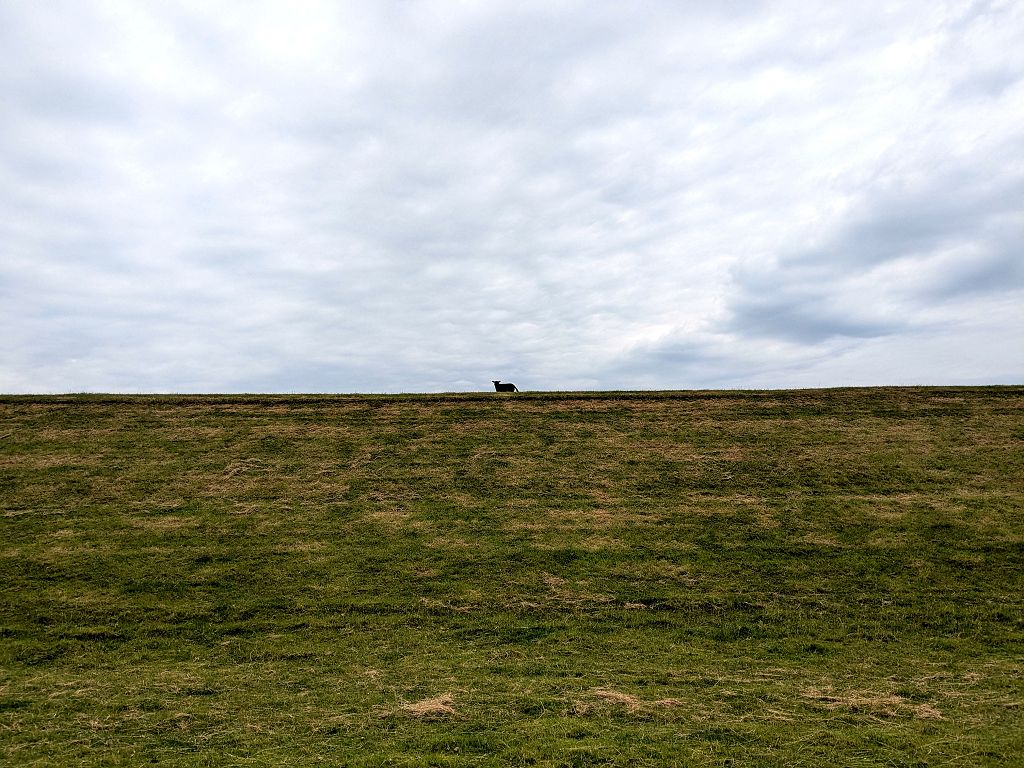 vPXL 20250626 095240940.MP